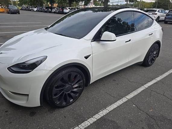 TESLA MODEL Y 2021 5YJYGDEF9MF259256 image TESLA MODEL Y 2021 5YJYGDEF9MF259256 image